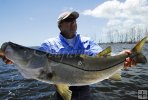 Big snook in the Everglades