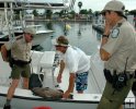 You caught this grouper where?