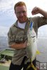 Jack crevalle on topwater plug