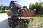 Hydrilla weed hitch-hiking