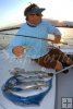 Bluefish and topwater plug Bluefish and topwater plug