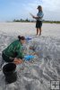 Turtle numbers