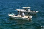 Florida Marine Patrol checks a boat