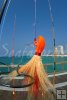Colorful cobia jig