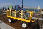 Pier cart