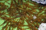 Live shrimp bait tank-2