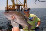 Gray snapper magic