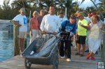 Abacos