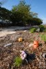 Colorful marine debris