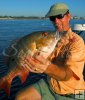 Surf-caught mutton snapper