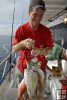Stringer of porgies