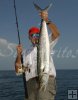 Catch and release kingfish