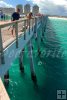 Florida Pier