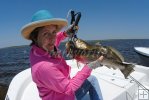 Pair of seatrout-3