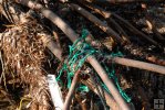Nylon netting in mangrove tree