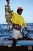 Black grouper