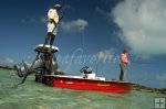 Poling after bonefish