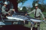 Texas game wardens with billfish