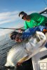 Happy anglers and tarpon