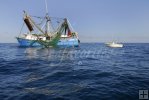 Calm Gulf and shrimpboat
