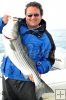 Striped bass near Boston-2