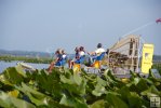 Airboat in aquatic plants