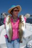 Pair of seatrout-2