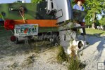 Clinging hydrilla weed