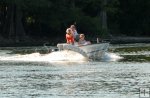 Sturgeon jumps near boat