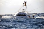 Fishing boats