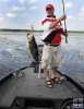 Swing that bass aboard-2