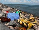 Closeup of marine debris
