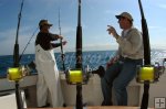 Talking sailfish