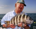 Keeper sheepshead