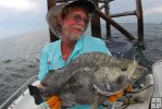 Tripletail finally landed