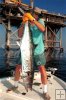 Fifty-plus pound kingfish released