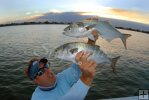 Bluefish for dinner Bluefish for dinner