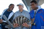 Sheepshead with scraper device Sheepshead with scraper device