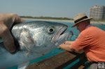 Pier angler with bluefish