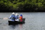 Exploring mangrove country by canoe