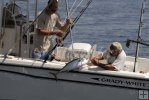 Unhooking bonito into Grady White