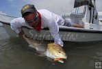 Landing a big bull red