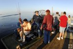 Airboat fish tournament