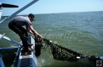 Pulling in ghost net