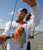 Americans with piranha