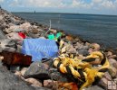 Marine Debris Marine Debris
