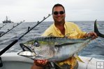 Yellowfin tuna, Louisiana oil rig