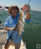Lesser snook, Texas