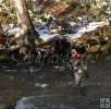 Wading upriver