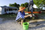 Cleaning hydrilla from equipment